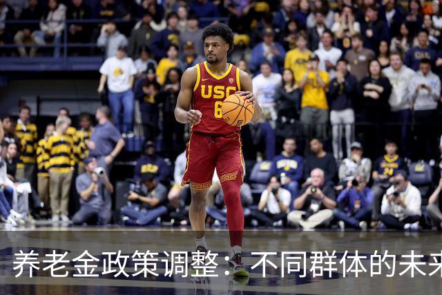 养老金政策调整：不同群体的未来