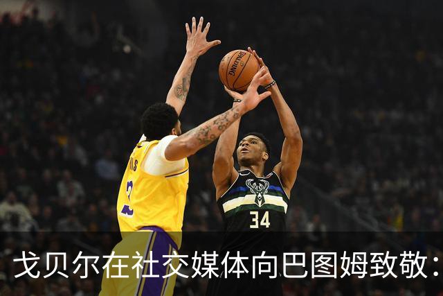 戈贝尔在社交媒体向巴图姆致敬：感谢你的一切贡献